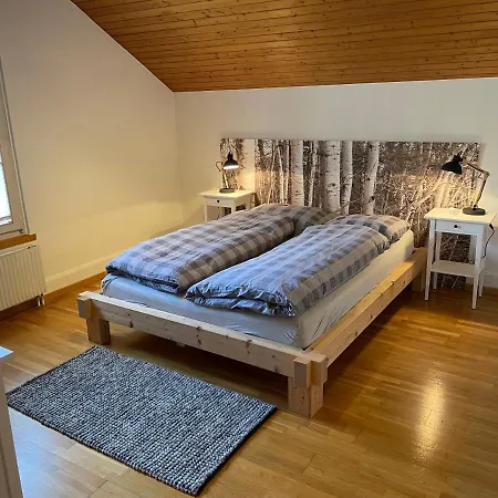 Interlaken Apartments Διαμέρισμα Ιντερλάκεν