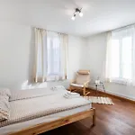 Interlaken Apartments *
